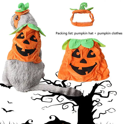Pet Pumpkin Leaf Costume - Creative Halloween Cat Cosplay Clothing