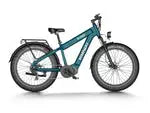 Himiway D5 Rhino (Plus/Ultra) Dual Battery Off-Road E-Bike