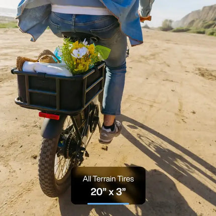 Urtopia Joy Carbon E-Bike