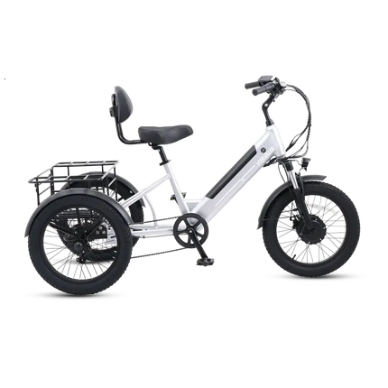 Viribus SC5 Fat Tire Electric Tricycle