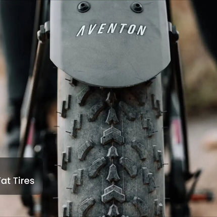 Aventon Aventure.M E-Bike