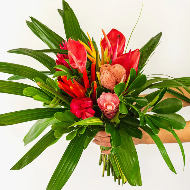 Vacation in the Tropics by BloomsyBox