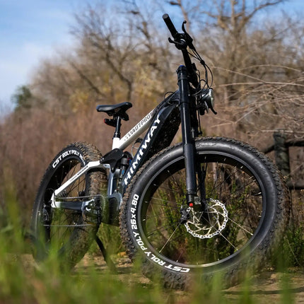 Himiway D7 Pro / Softail Electric Mountain Bike