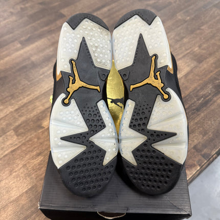 (GS) DMP Jordan 6 (USED)