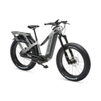 Step Over / Gull Grey / 15Ah 48V