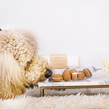 Bonne et Filou Dog Macarons (Box of 6)