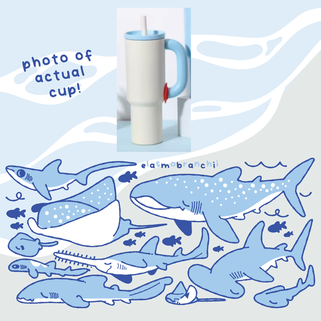 [PREORDER] Elasmobranch Water Bottle