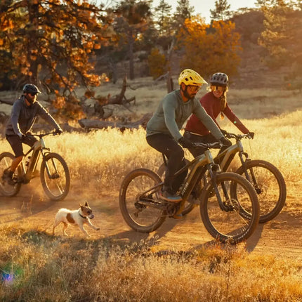 Aventon RAMBLAS eMTB