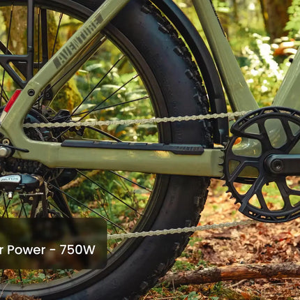 Aventon Aventure.3 E-Bike Step-Over