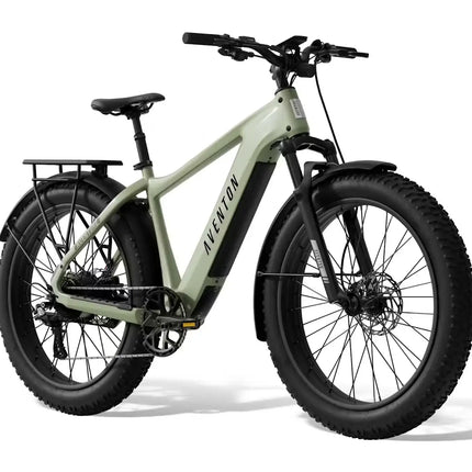 Aventon Aventure.3 E-Bike Step-Over