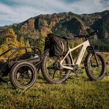 Aventon Aventure.3 E-Bike Step-Over