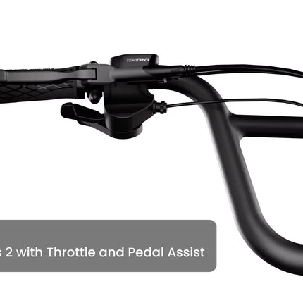 Aventon Abound LR Cargo E-Bike