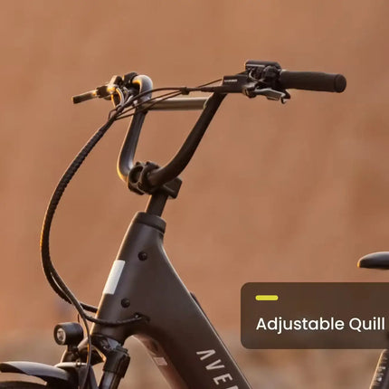 Aventon Abound LR Cargo E-Bike