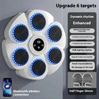 White Boxing Target Gloves / Standard